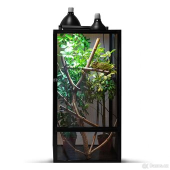 chameleon pardálí, terárium - 18