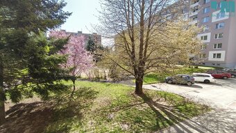 Pronájem bytu 1+1, 31 m2 - Vyškov - Dědice, ev.č. 01737 - 18