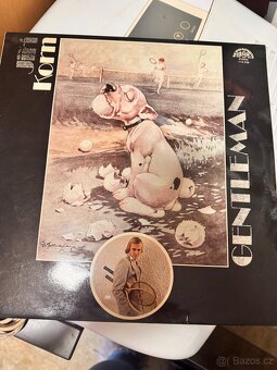 Gramofonové desky - 18
