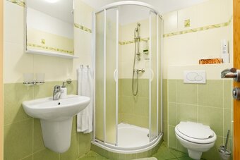 Prodej rodinný dům s penzionem, Nový Jičín, Pod Skalkou - 18