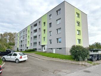 Prodej bytu 1+1 v obci Skořenice - Vrchovina - 18