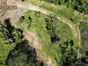 Falcon Valley Lot#7 Santos Guardiola, Roatan - 18