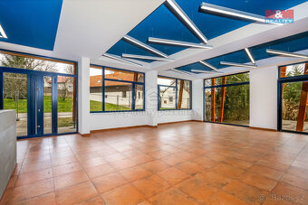 Prodej multifunkčního rodinného domu, 1076 m² - 18