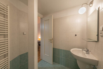 Pronájem bytu 3+kk/T, 106 m2, Plzeňská, Praha 5, Smíchov - 18