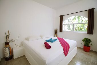 Dovolena Karibik-6 pok. vila,Yucatan, Mex, u vody, cesky maj - 18