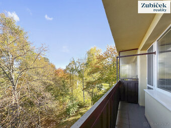 Pronájem výjimečného prostorného bytu 3+1 s krbem, Zlín - ul - 18