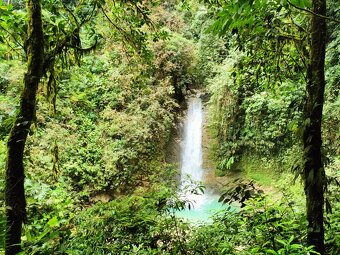 Farmy Kostarika Rio Claro - 18