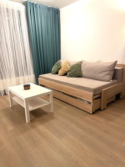 Pronájem bytu 1+kk (44m + 4m balkón) - 18