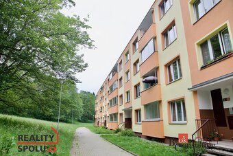 Pronájem, byty/2+1, 57 m2, Východní, Karlovy Vary, Karlovy V - 18