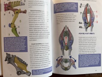 Jezdecké knihy Ingrid Klimke - 18