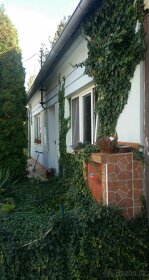 Strachotín - velký RD s komerčním prostorem - 18