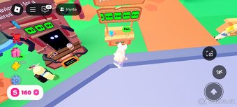 Roblox account - 18