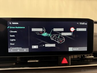 Kia Carnival, 2.2d AT 145kw 9-mist DPH - 18