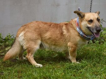 Odin hledá domov - 18