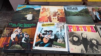 Lp desky množství 300 ks. - 18