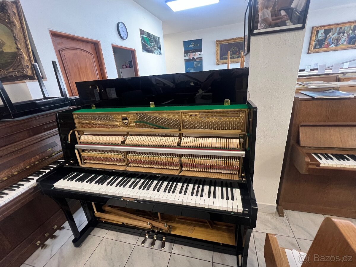 Weinbach-Petrof se zárukou 5 let, první ladění a doprava - 19