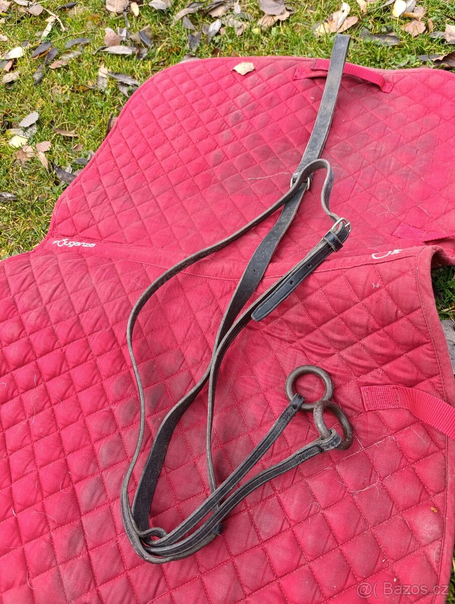 Úklid sedlovny - 19