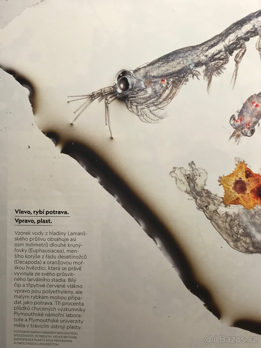 3x National Geographic /2x US vydání a 1x CZ vydání/ - 19