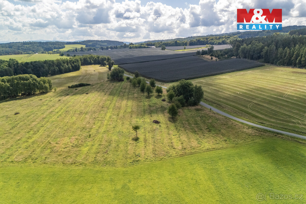 Prodej komerčního pozemku, 238031 m², Přimda - 19