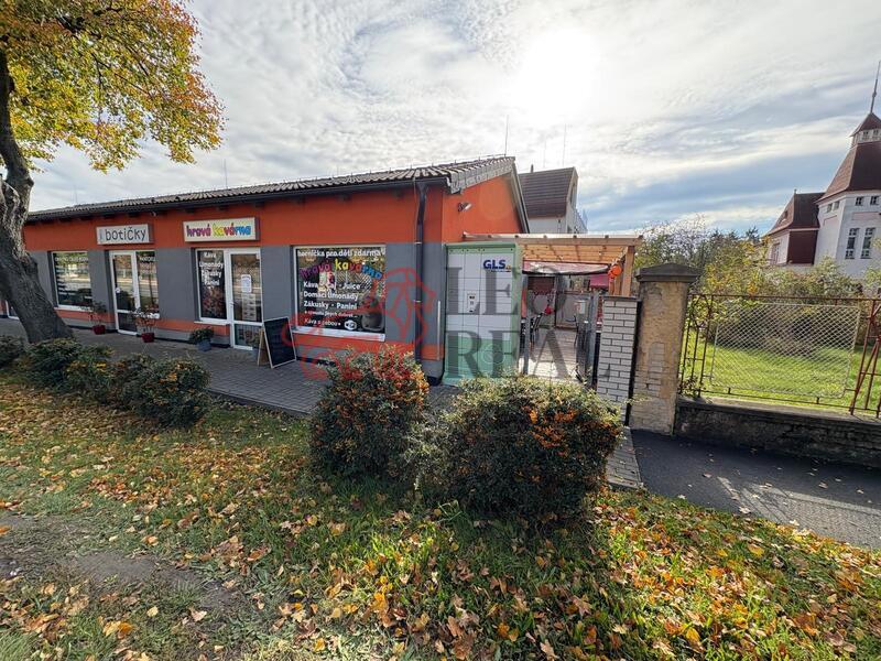 Pronájem obchodního prostoru o velikosti 54 m2 - 19