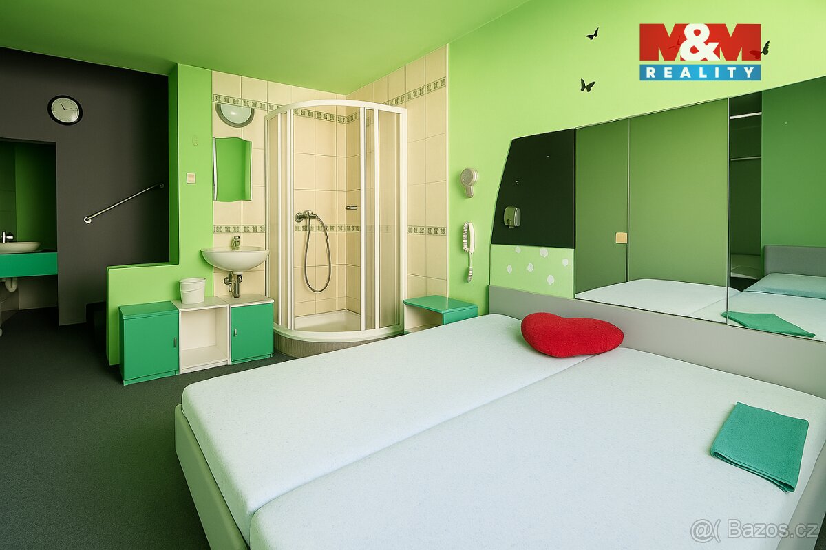 Prodej rodinného domu, 650 m², České Velenice - 19