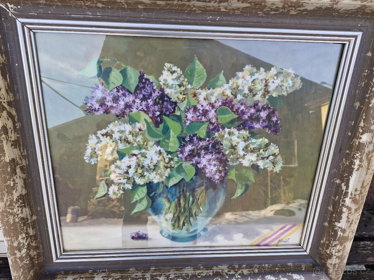 Obrazy Kadeřábek, Balíček, Fiala od 499 + nabídněte - 19