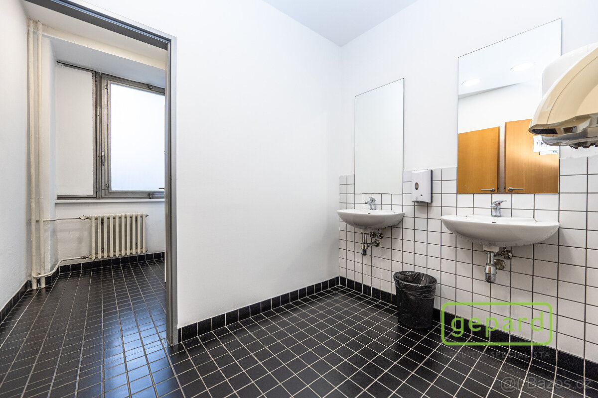 Pronájem kancelářského prostoru, 213 m2, Plzeňská, Praha 5 - 19