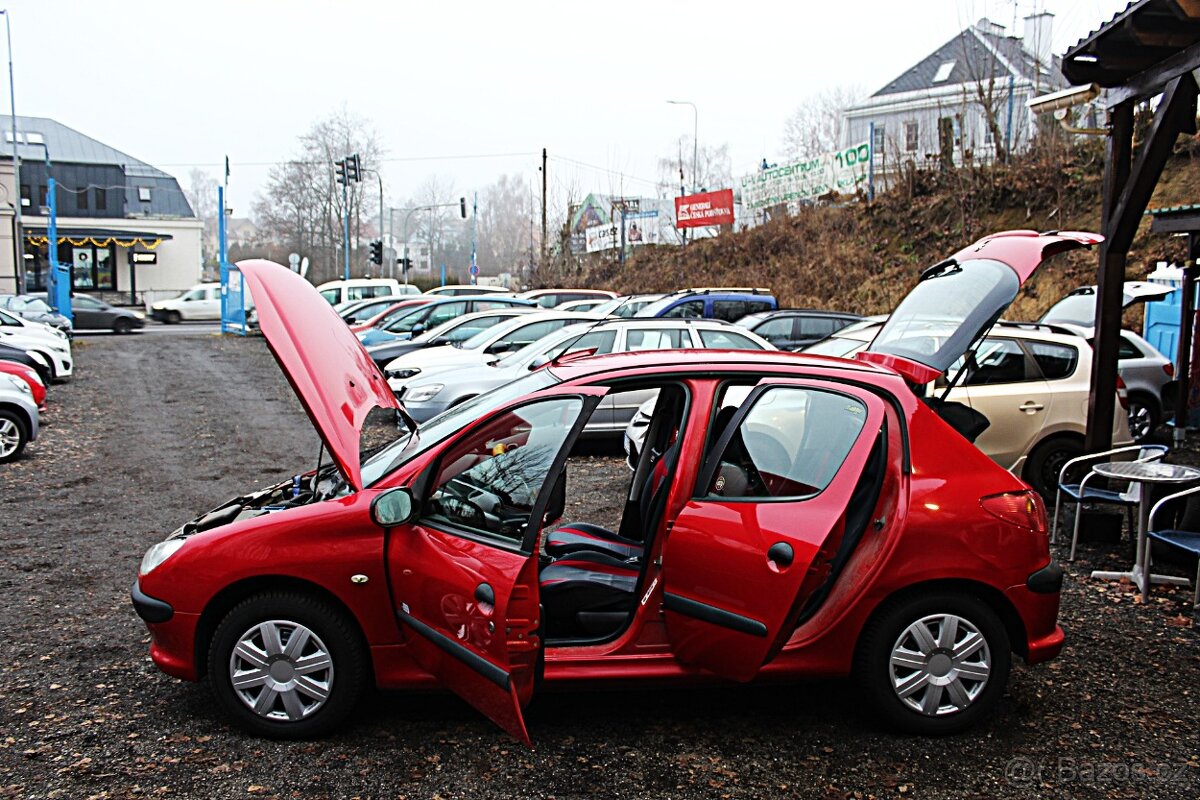 Peugeot 206 - 19