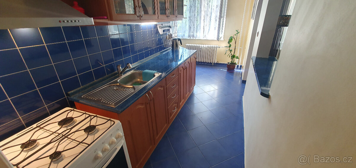 Družstevní byt 3+1+L, Kosmonautů, Teplice - 19