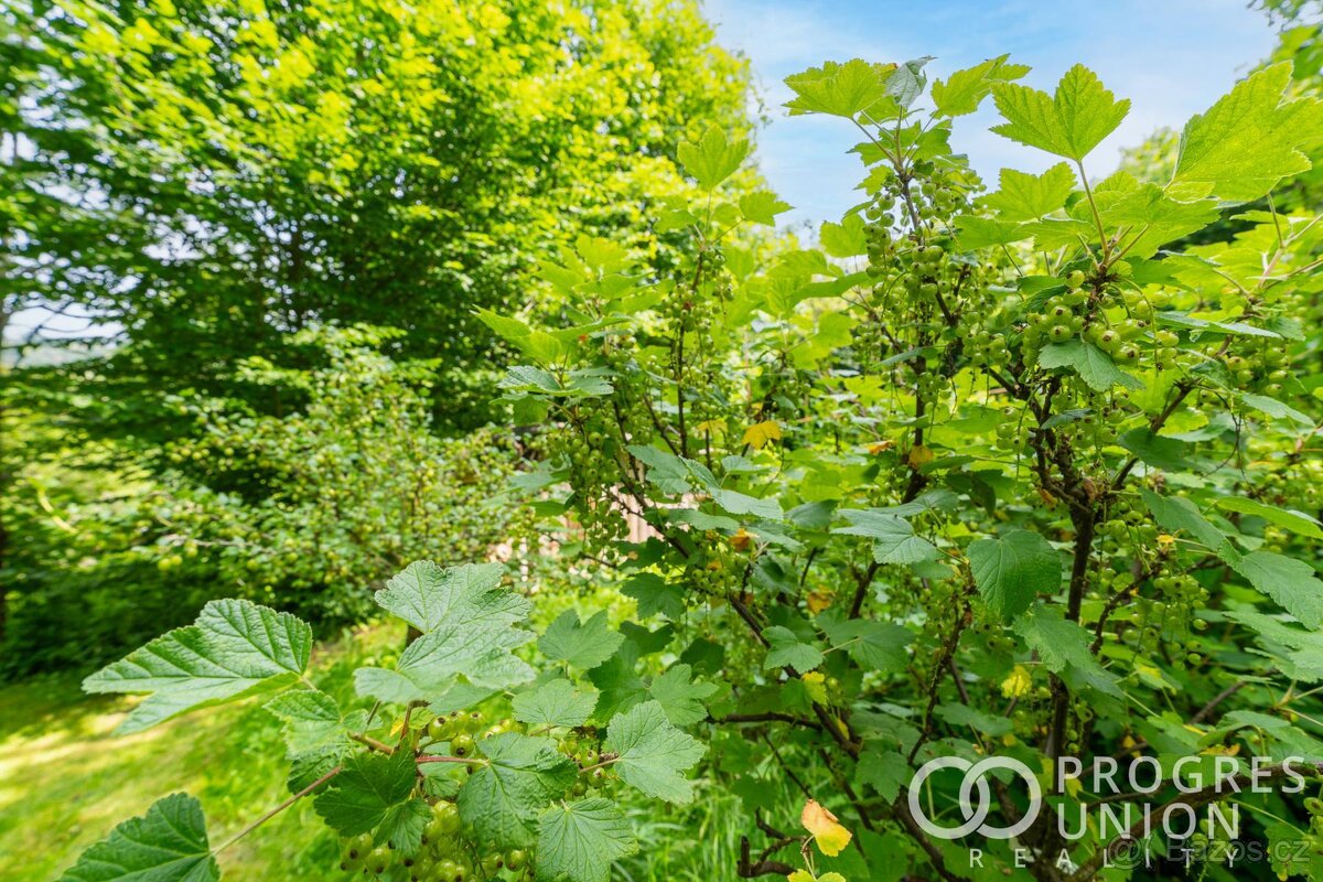 Prodej stavebních a zemědělských pozemků na samotě s číslem - 19