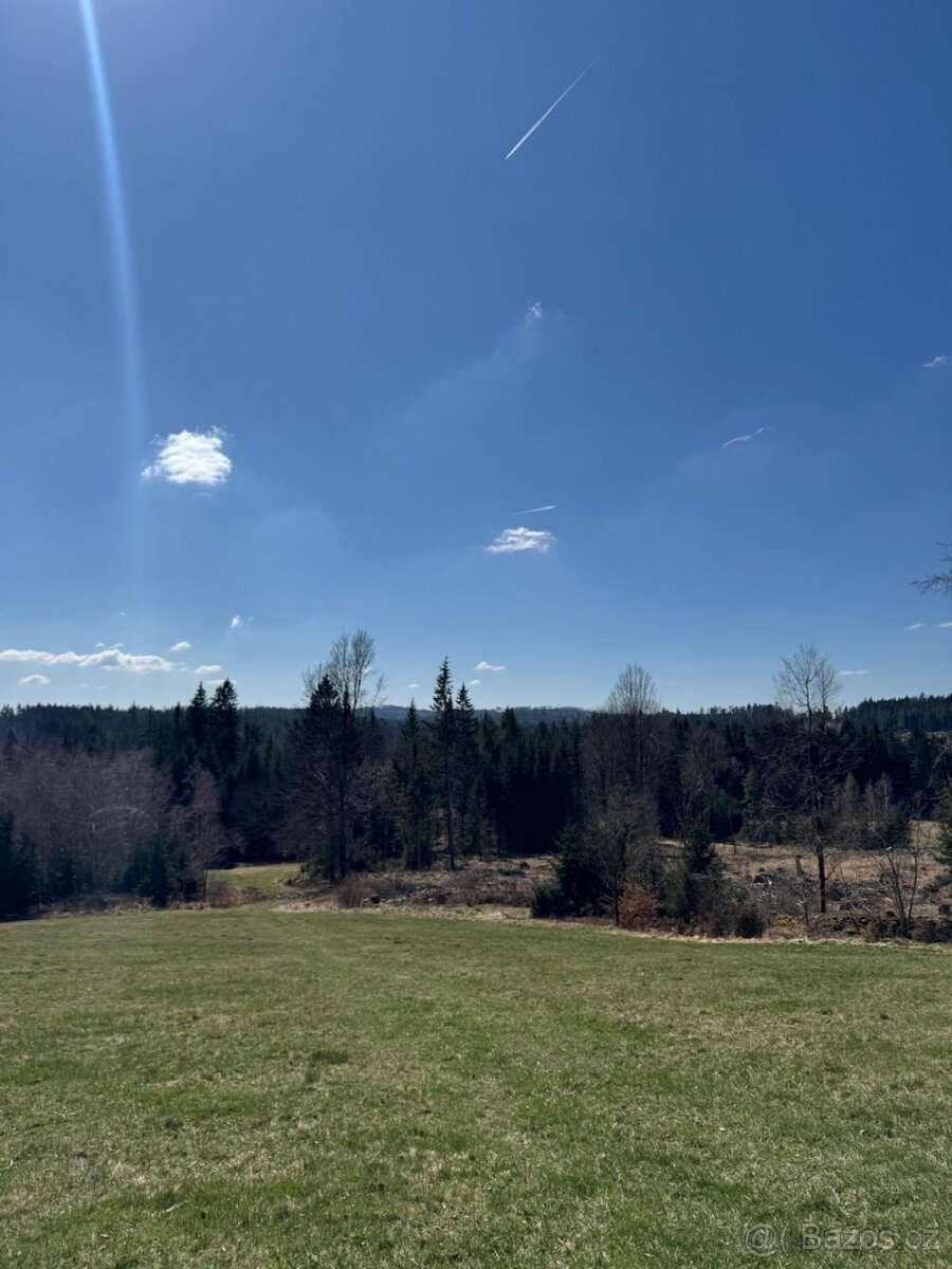 Prodám pozemky v k.ú. Horní Bolíkov Studená, okres Jindřichů - 19