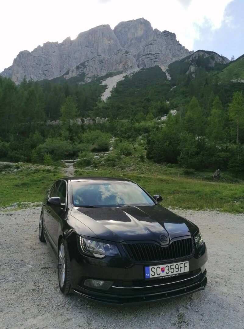 Skoda cerny znak cerne loga emblemy - 19