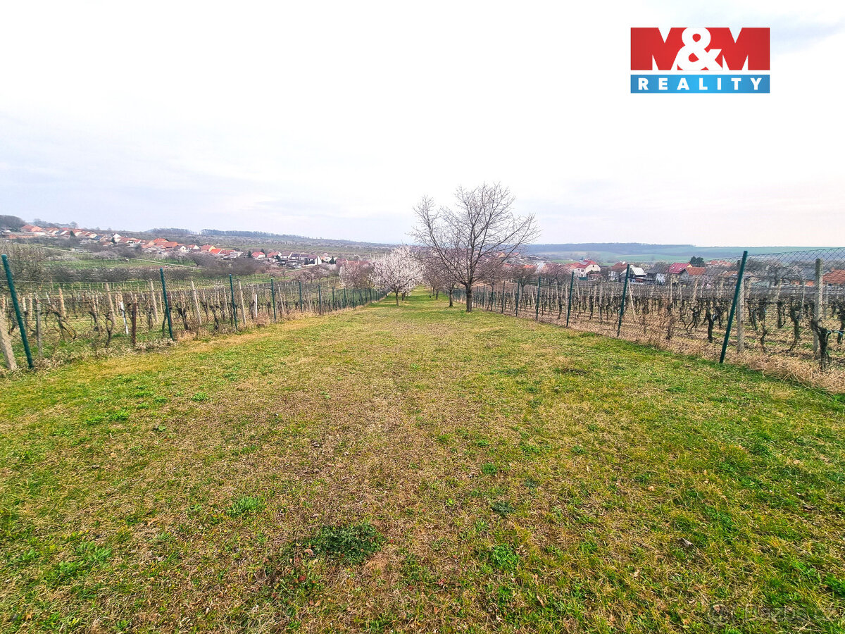 Prodej ovocného sadu, 4096 m², Starý Poddvorov - 19