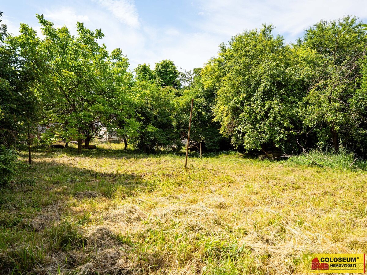 Bohdalice-Pavlovice, RD k celkové rekonstrukci, zahrada - ro - 19