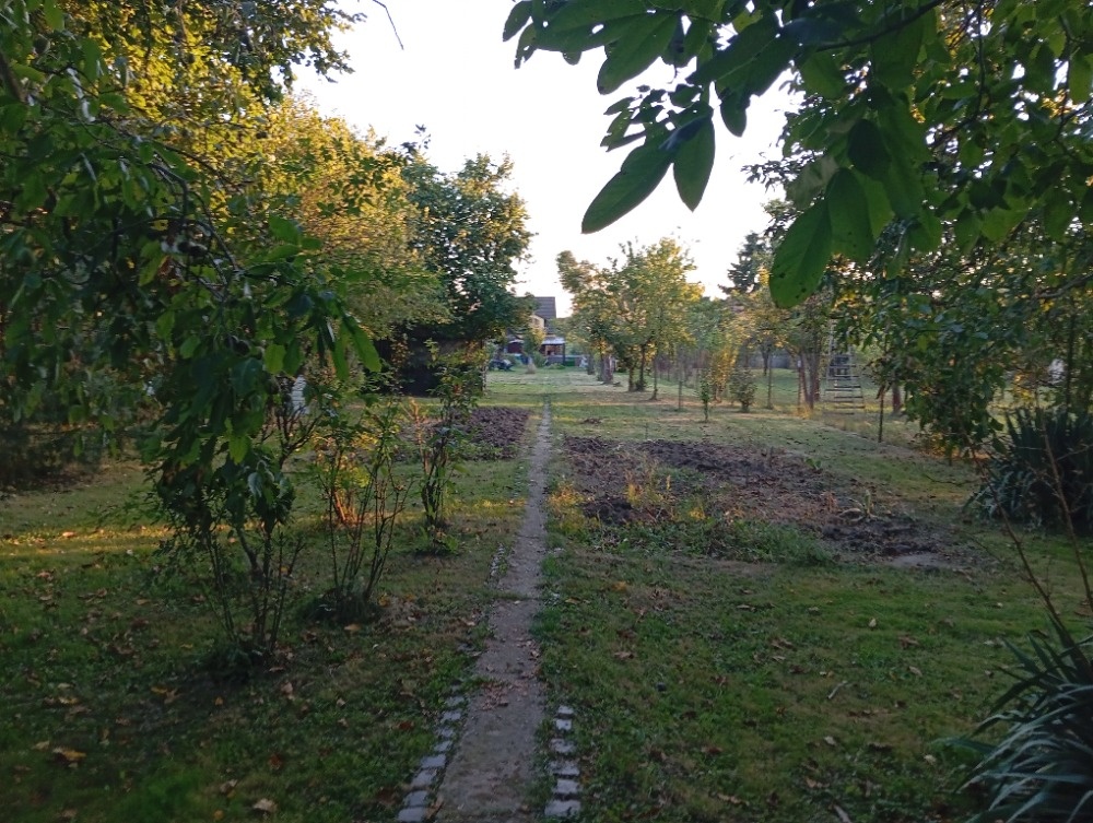 PRODEJ RD TLUMAČOV - 19