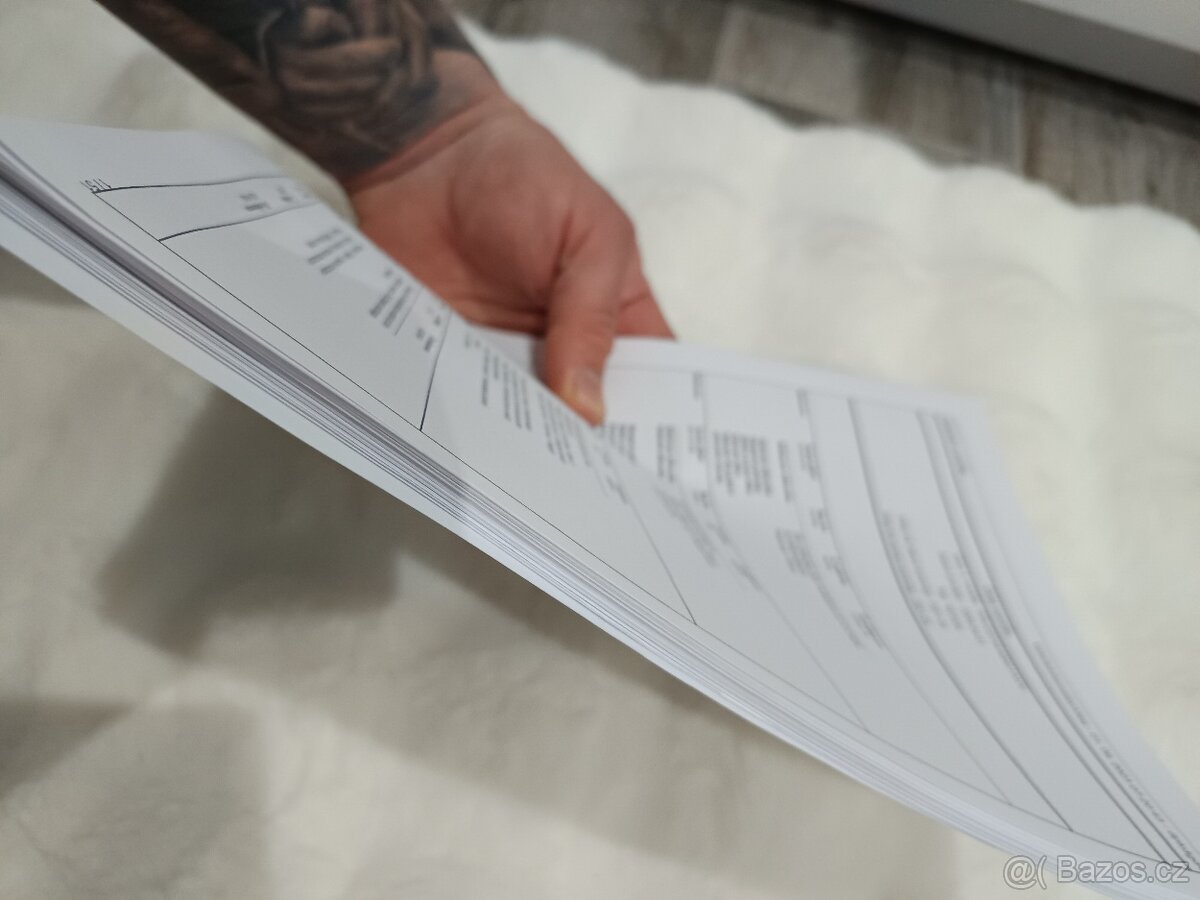 Audi S8 5.2 fsi V10 - 19