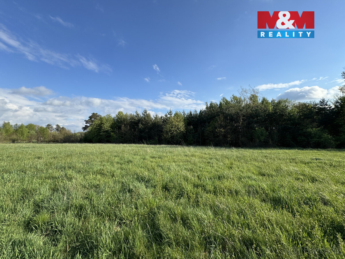 Prodej komerčního pozemku, 10254 m², Homole - 19