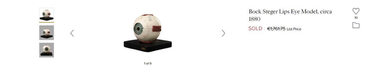 Starožitný model oka, Bock Steger, cca 1880 - 19