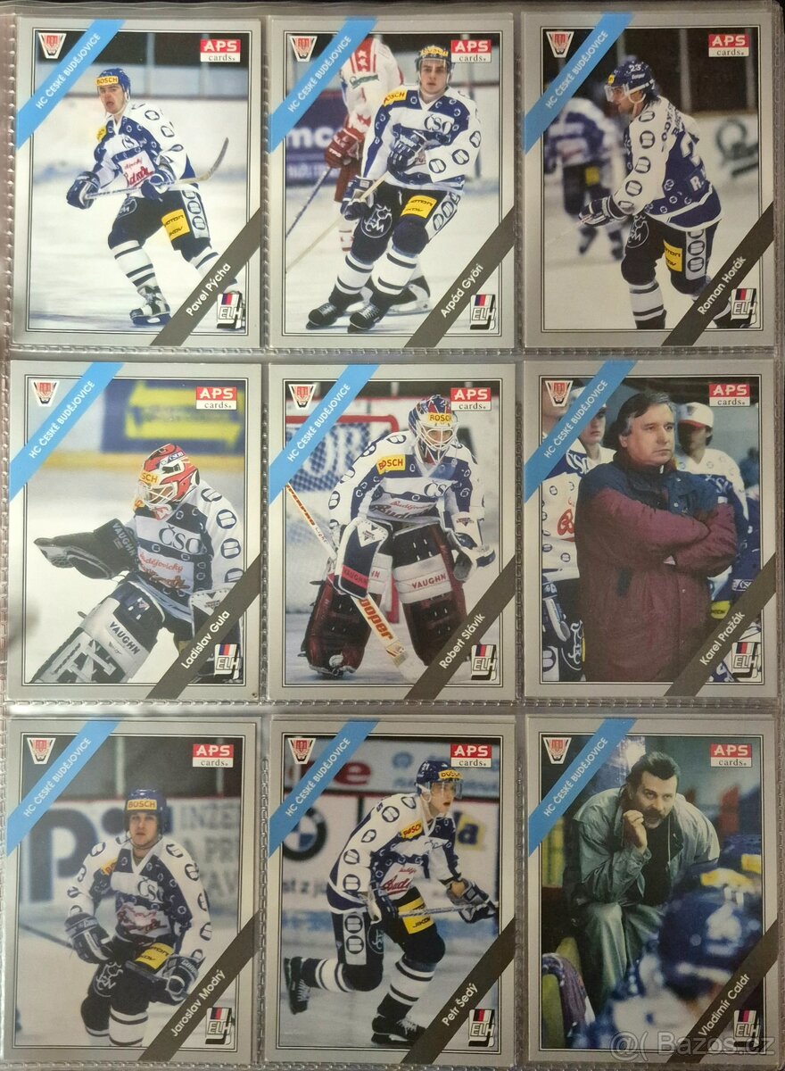 Hokejové karty APS 264 ks - 19