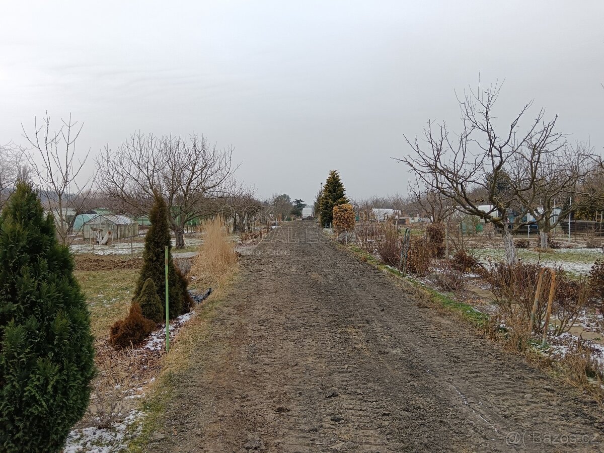 Zahrada s chatou, Otrokovice - 19