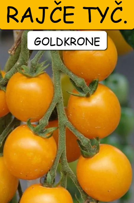 Semínka rajčata - různé druhy - 19