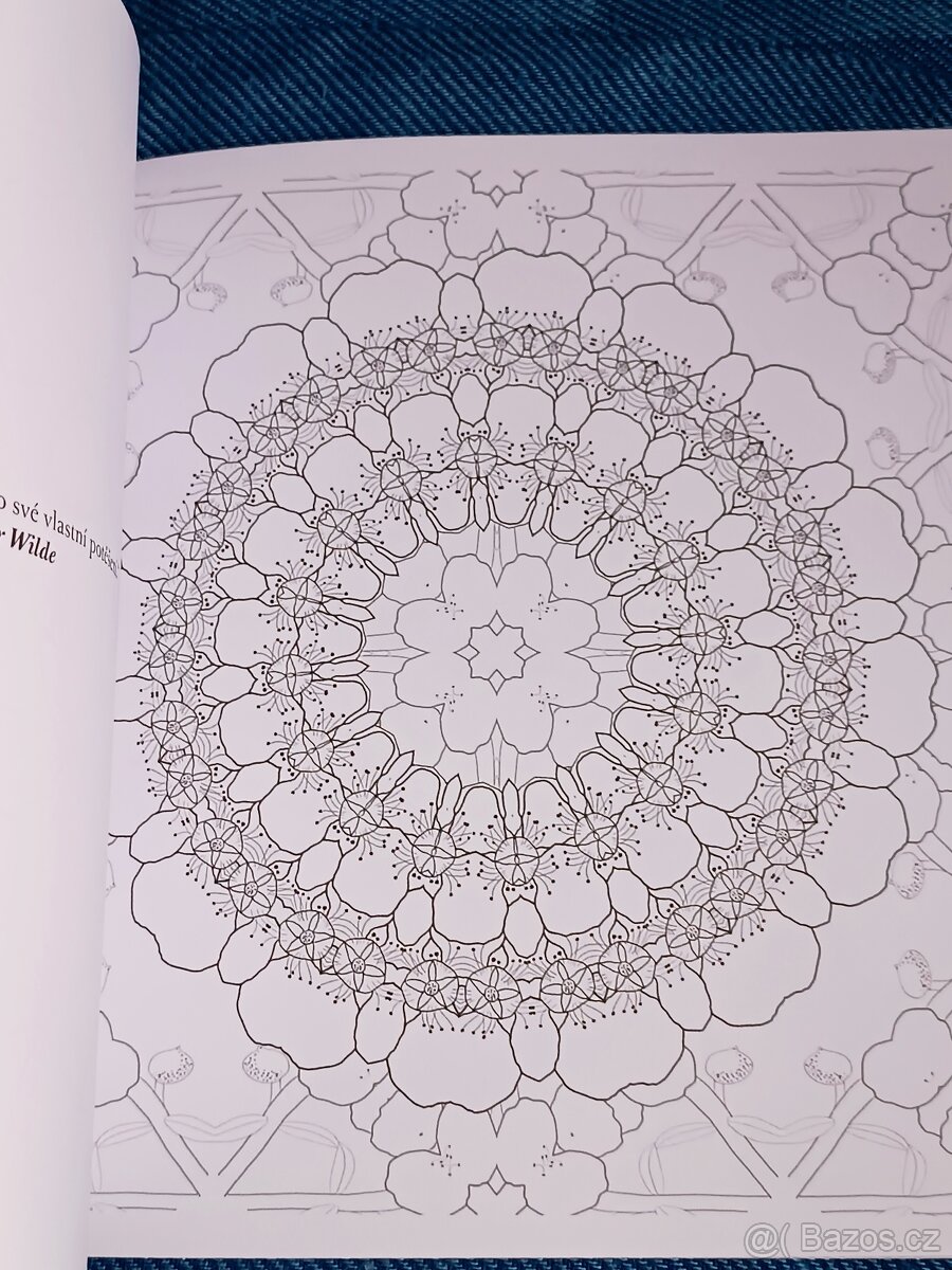 Omalovánky pro dospělé: Inspirativní a ............. - 19