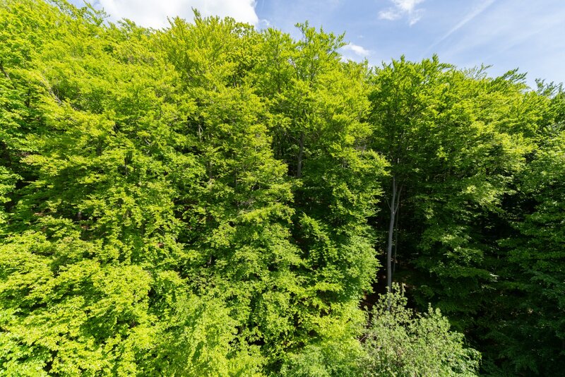 Prodej bytu 4+1 s lodžií a garáží, ul. Luční, Litvínov - Jan - 19