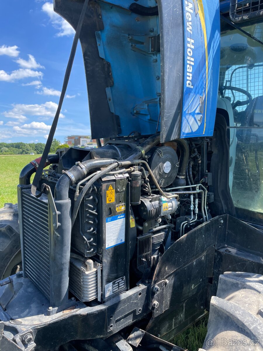 New Holland + Palms - 19