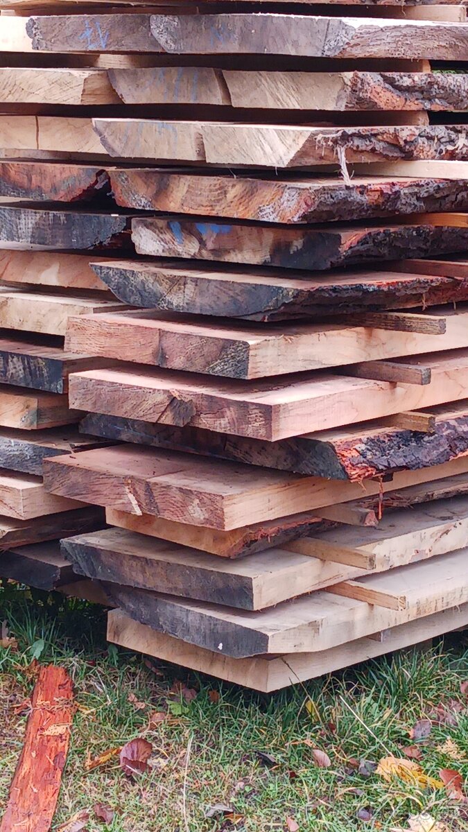 Dubové fošny, délka 2metry, síla 55mm - 19