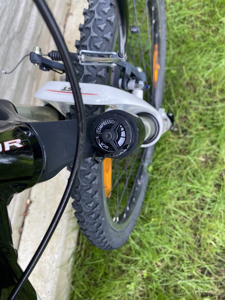 Author Sonic 24” - 19