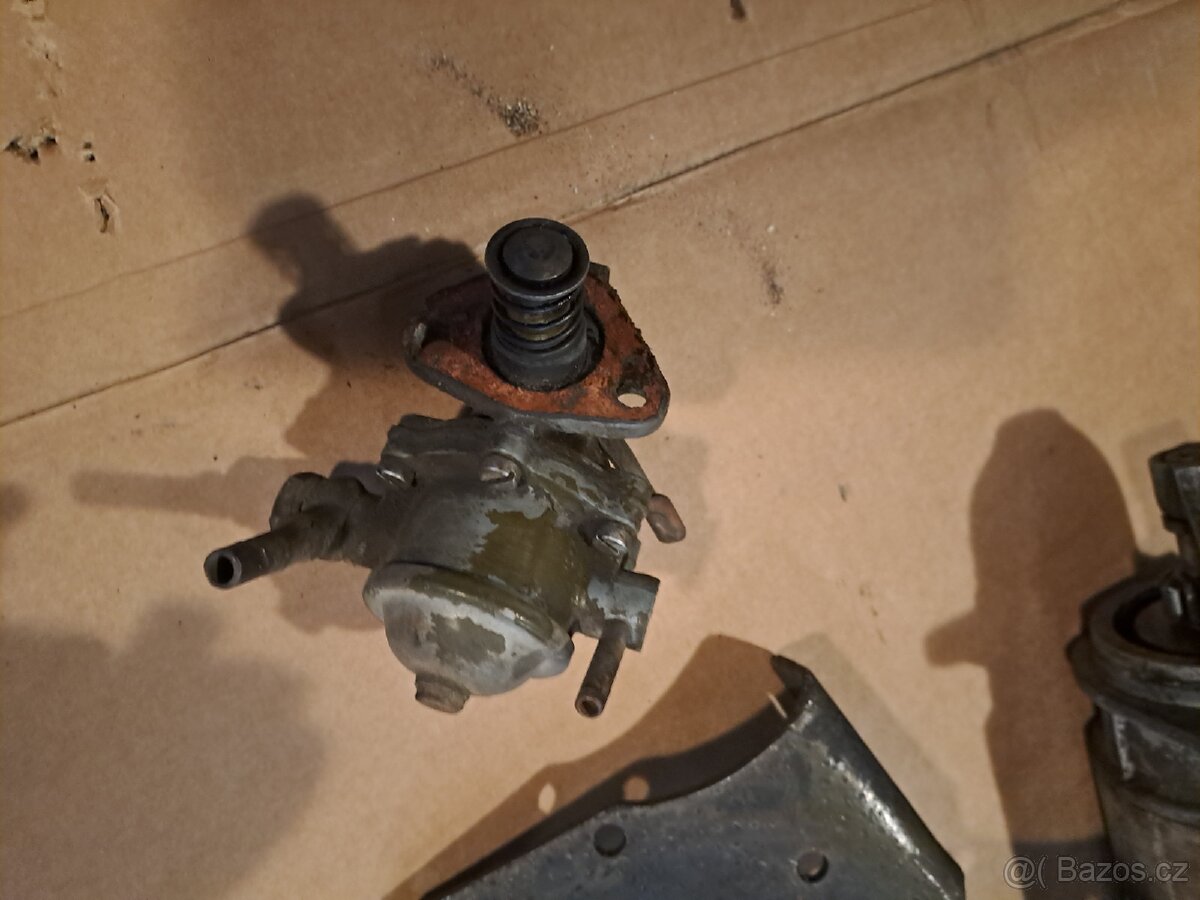 Felicia octavia spartak veterán - 19