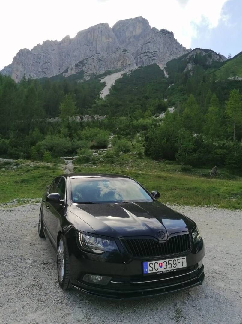 Skoda cerny znak cerne loga emblemy - 19