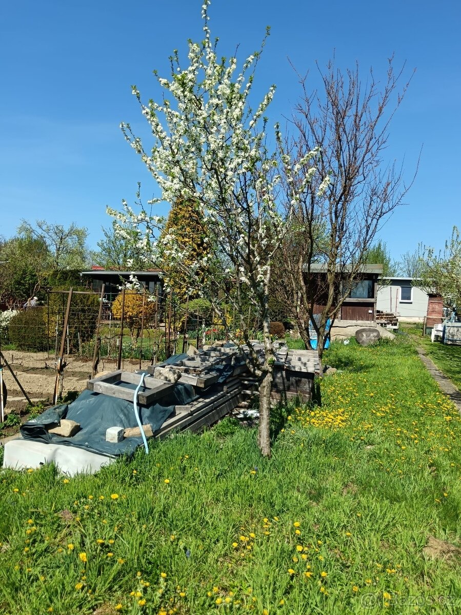 Zahrada s chatou, Otrokovice - 19