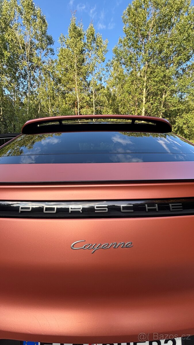 Porsche Cayenne Coupé Platinum Edition - 19